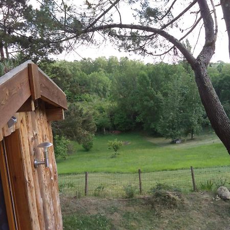 La Cabane En Bois Villemur-sur-Tarn Kültér fotó