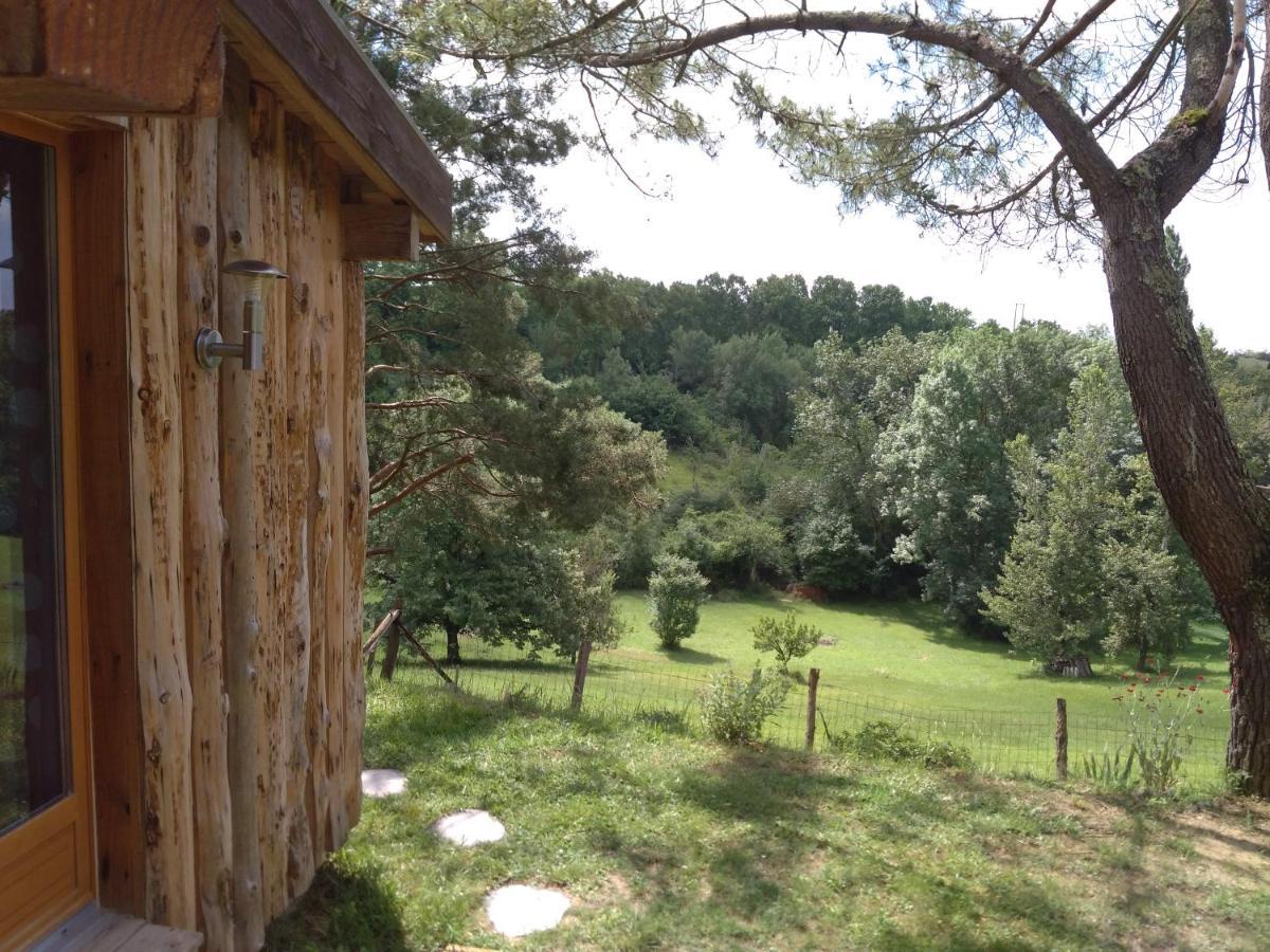 La Cabane En Bois Villemur-sur-Tarn Kültér fotó