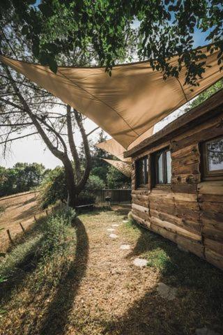 La Cabane En Bois Villemur-sur-Tarn Kültér fotó