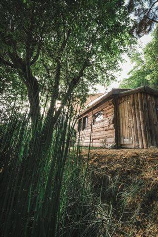 La Cabane En Bois Villemur-sur-Tarn Kültér fotó